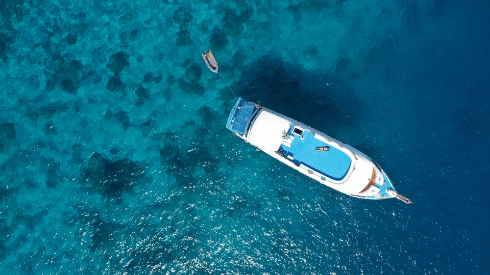 Mani sul timone di una barca a vela in navigazione